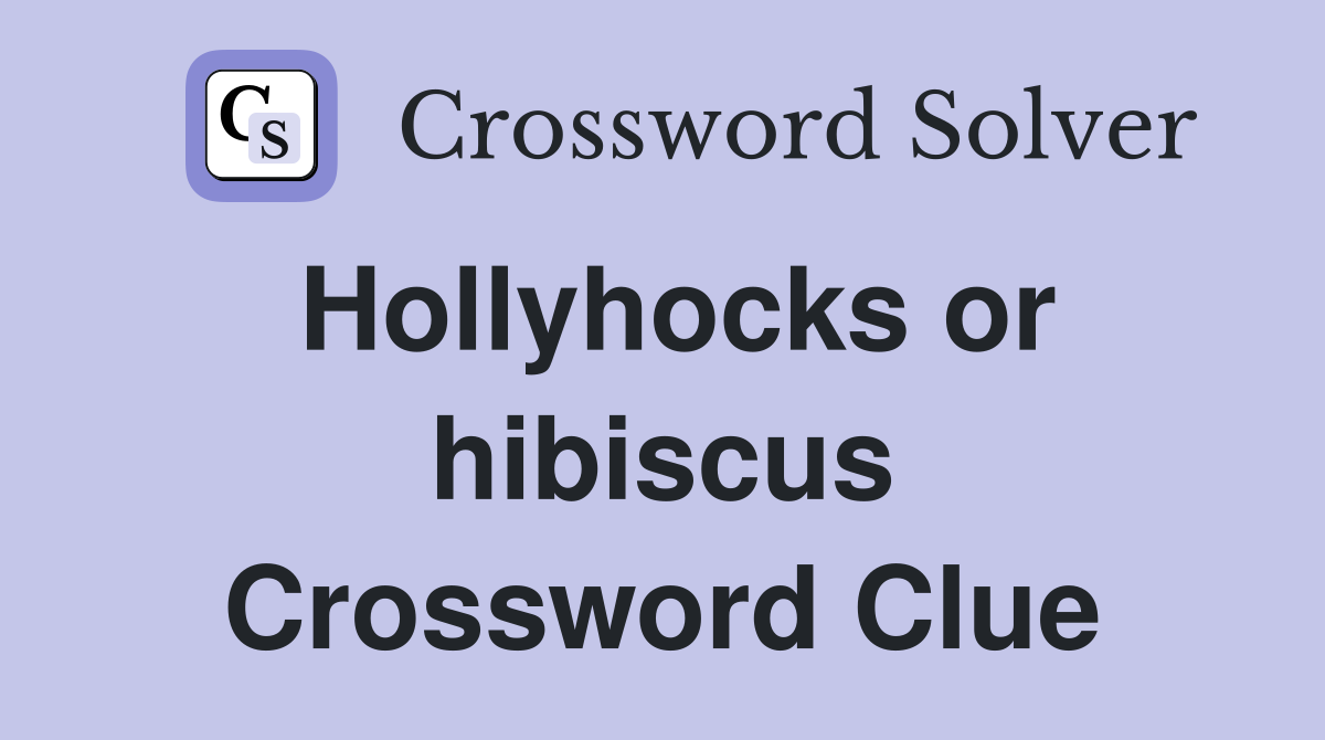 Hollyhocks or hibiscus Crossword Clue Answers Crossword Solver